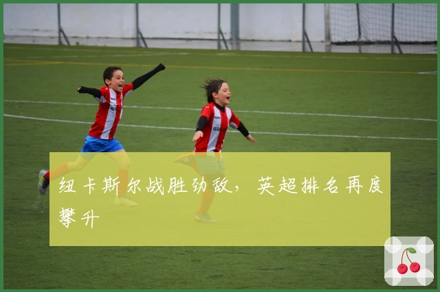 纽卡斯尔战胜劲敌，英超排名再度攀升