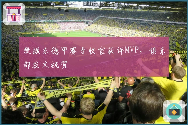 樊振东德甲赛季收官获评MVP，俱乐部发文祝贺